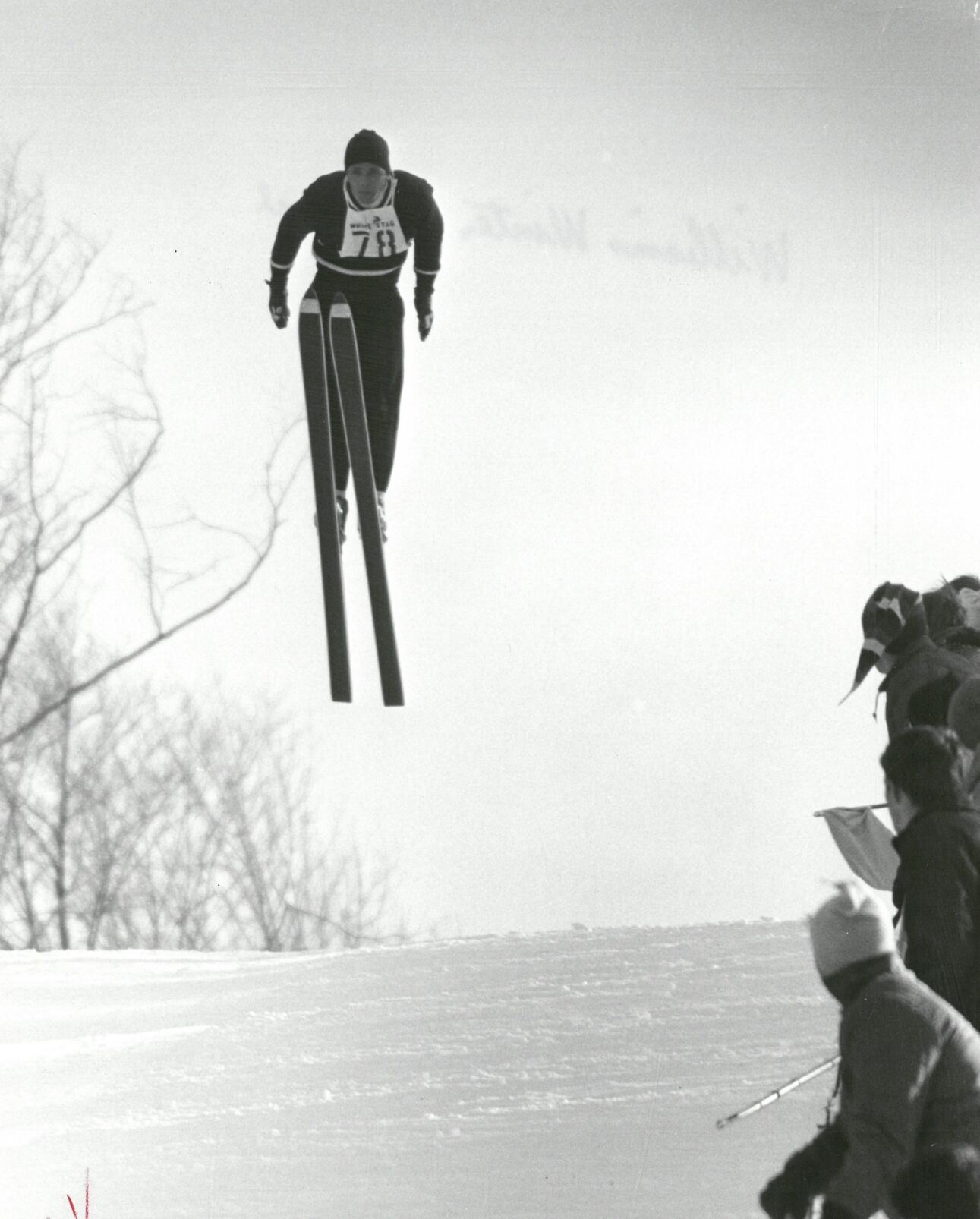 Williams Winter Carnival
